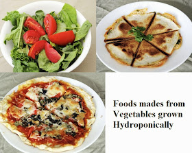 Wick System Hydroponics