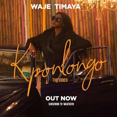 Download Video Waje Ft Timaya Kpolongo Chedee Music Official Site