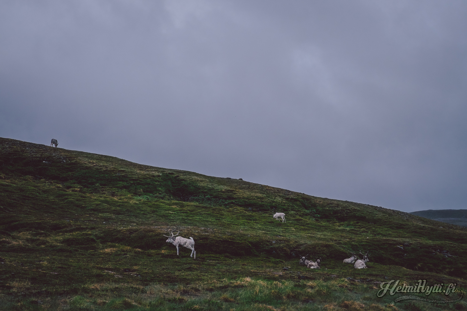 roadtrip-norja-nordkapp