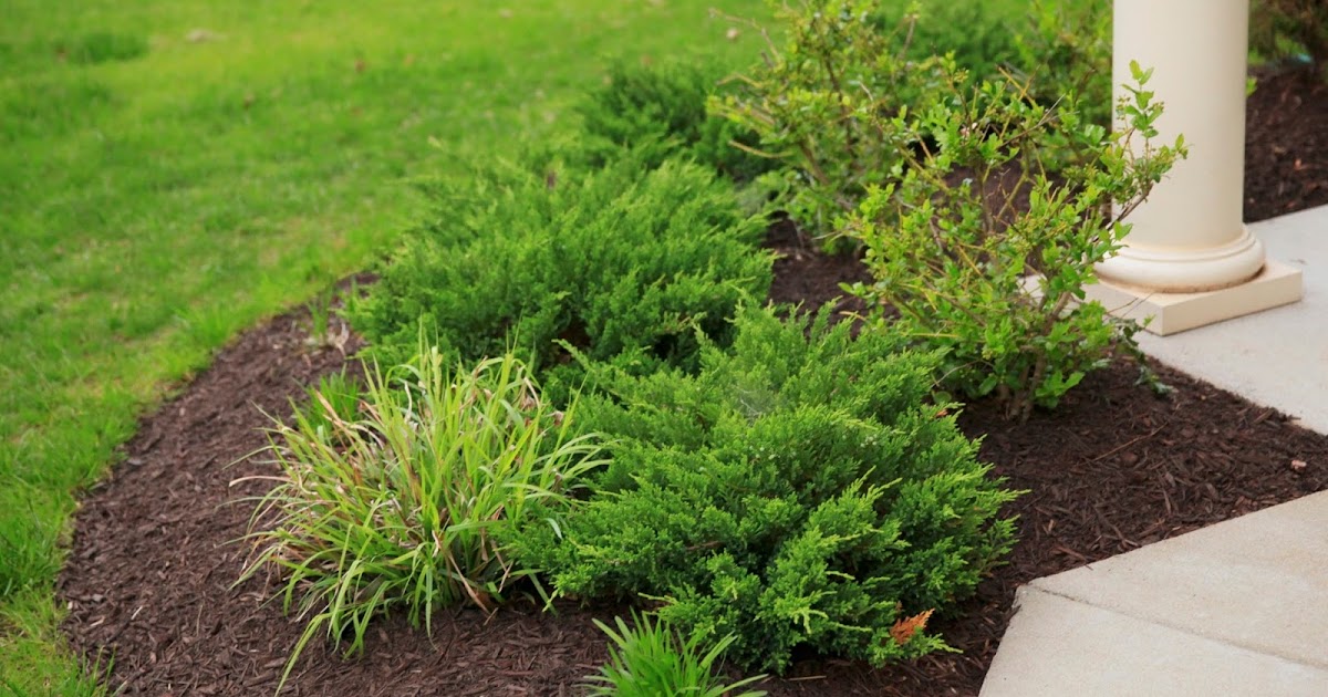 Autumn Walk Emerson Landscaping