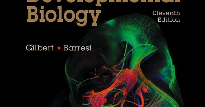 Gilbert Developmental Biology Pdf