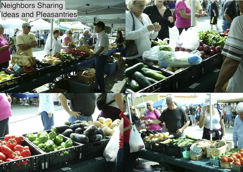 Beasley Farm of Brooksville Hernando County Farmers Market