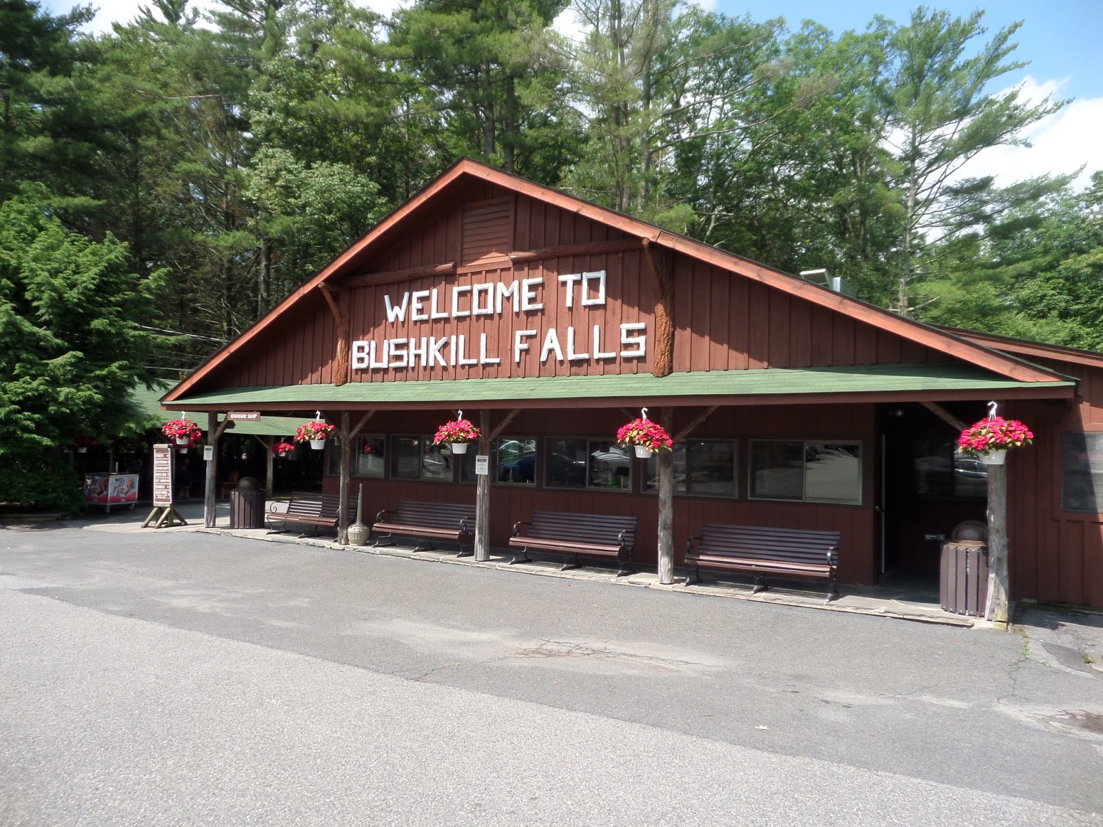 Growing Old With Gracie My Bushkill Falls Experience