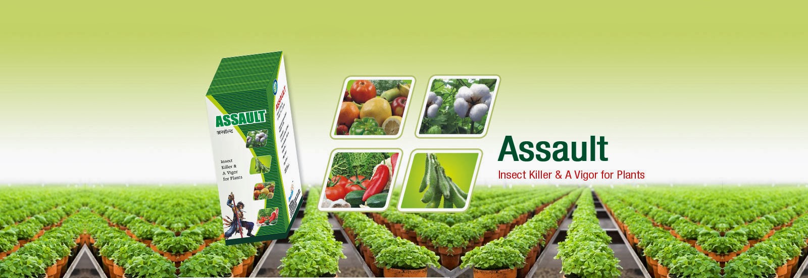 MULTI LEVEL MARKETING ( AGRO PRODUCT BASED )
