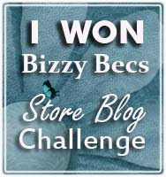 Bizzy Bec's Challenge Blog