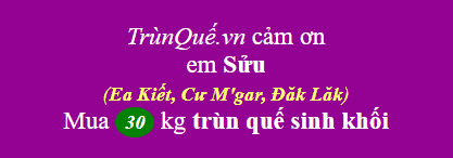 Trùn quế Cư M'Gar, Đăk Lăk