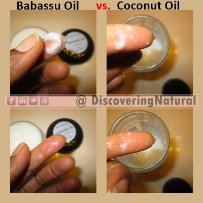 Babassu Oil vs Coconut Oil