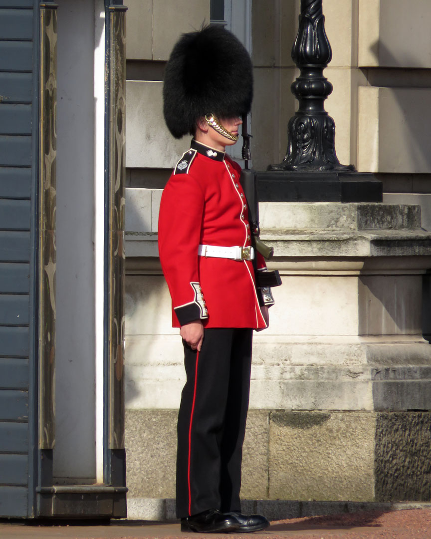 Daily Photo Stream Queen's Guard