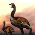 Cientistas descobrem fóssil de maior ave do mundo