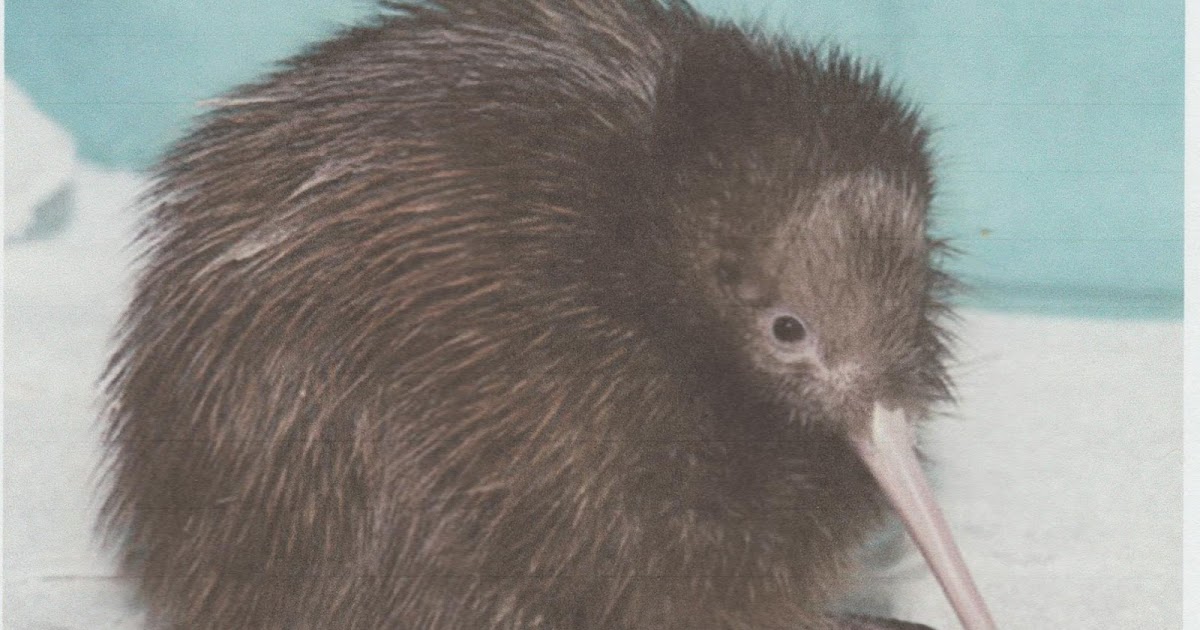 The Rule Of Reason Stuff And Nonsense