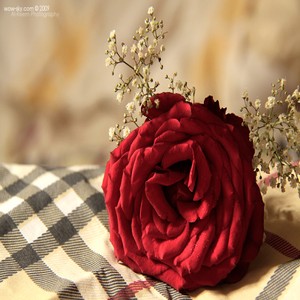 رمزيات حب جامدة واتساب , صور رمزيات حب جامده جدا للأنستقرام والفيس بوك