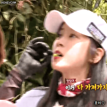 171117 정글의법칙 에이핑크 초롱이.gif | 인스티즈