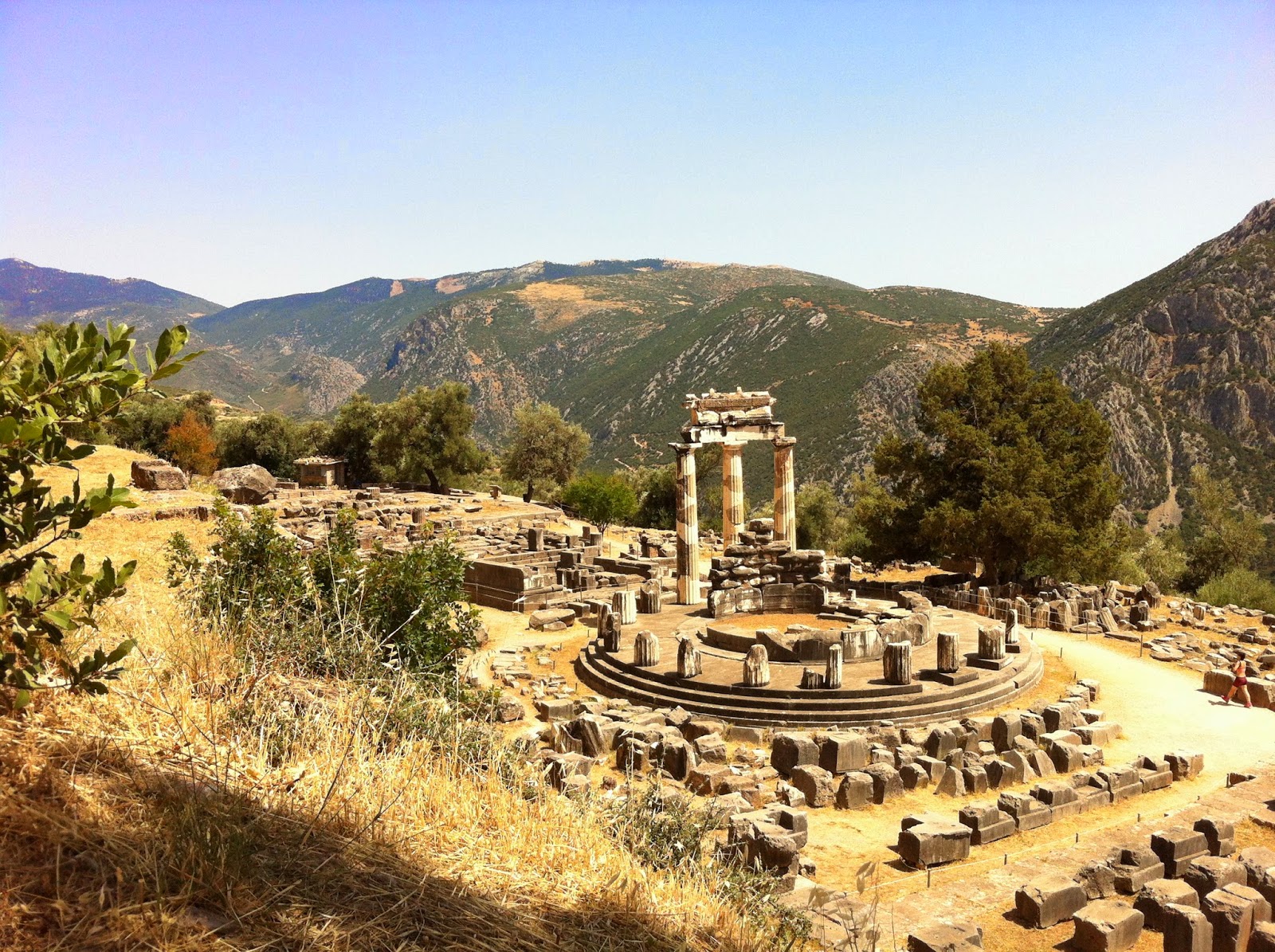 Cross Country Chronicles: Delphi