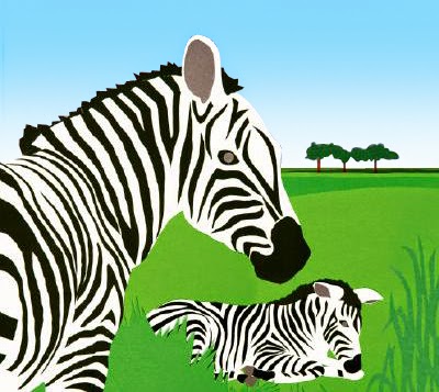 ZEBRA'S STRIPES