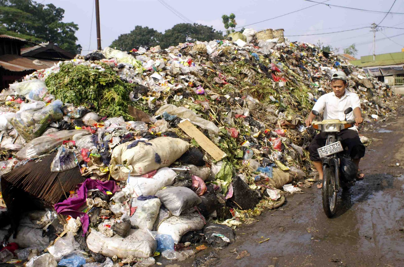 Materi Pencemaran dan Pelestarian Lingkungan: Gambar 
