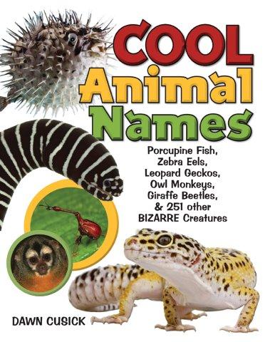 Archimedes Notebook Cabin Fever Cure Cool Animal Names