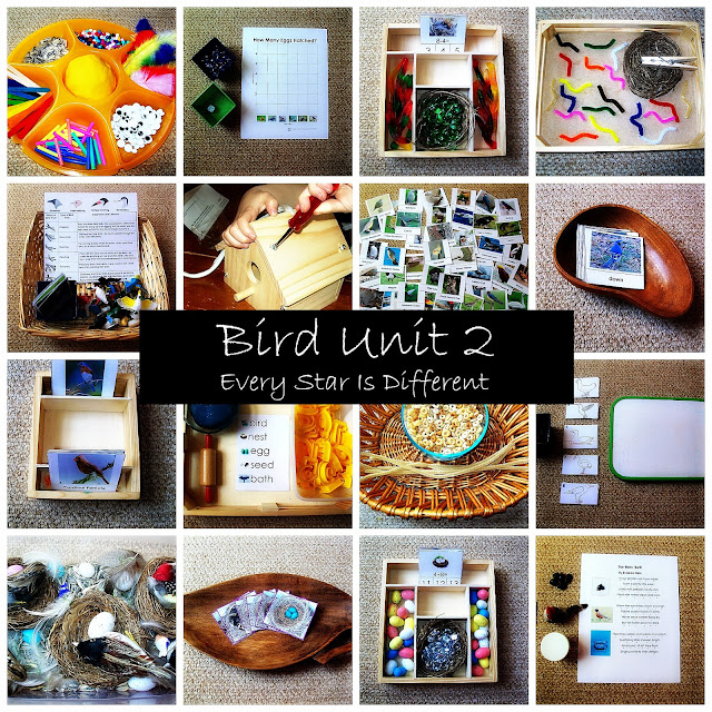 Montessori-inspired Bird Activities for Kids with Free Printables
