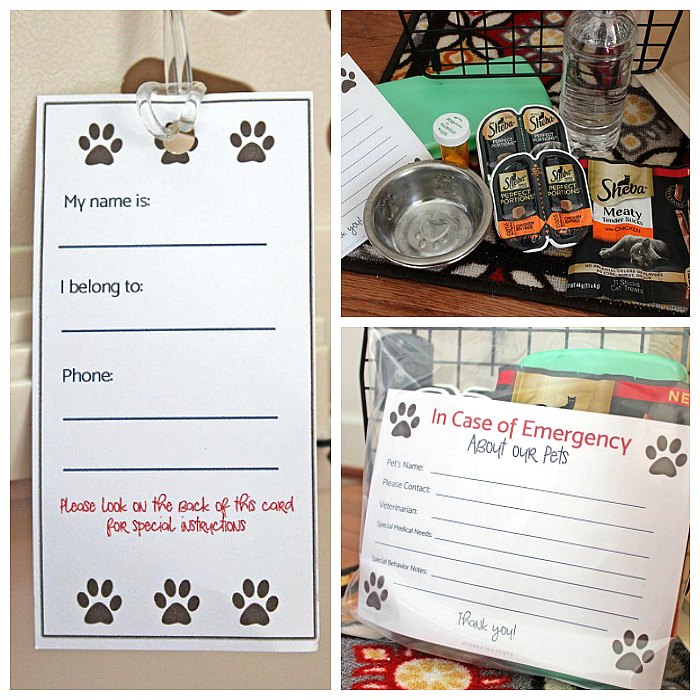 Free Printable Pet Emergency Card for a Cat Travel Kit Sunny Day Family