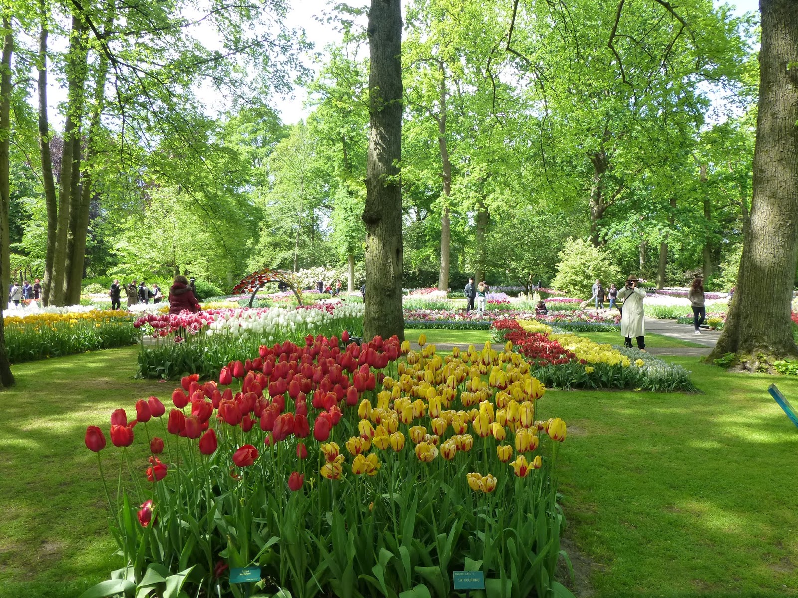 My Life in Retirement K Keukenhof Gardens, Netherlands