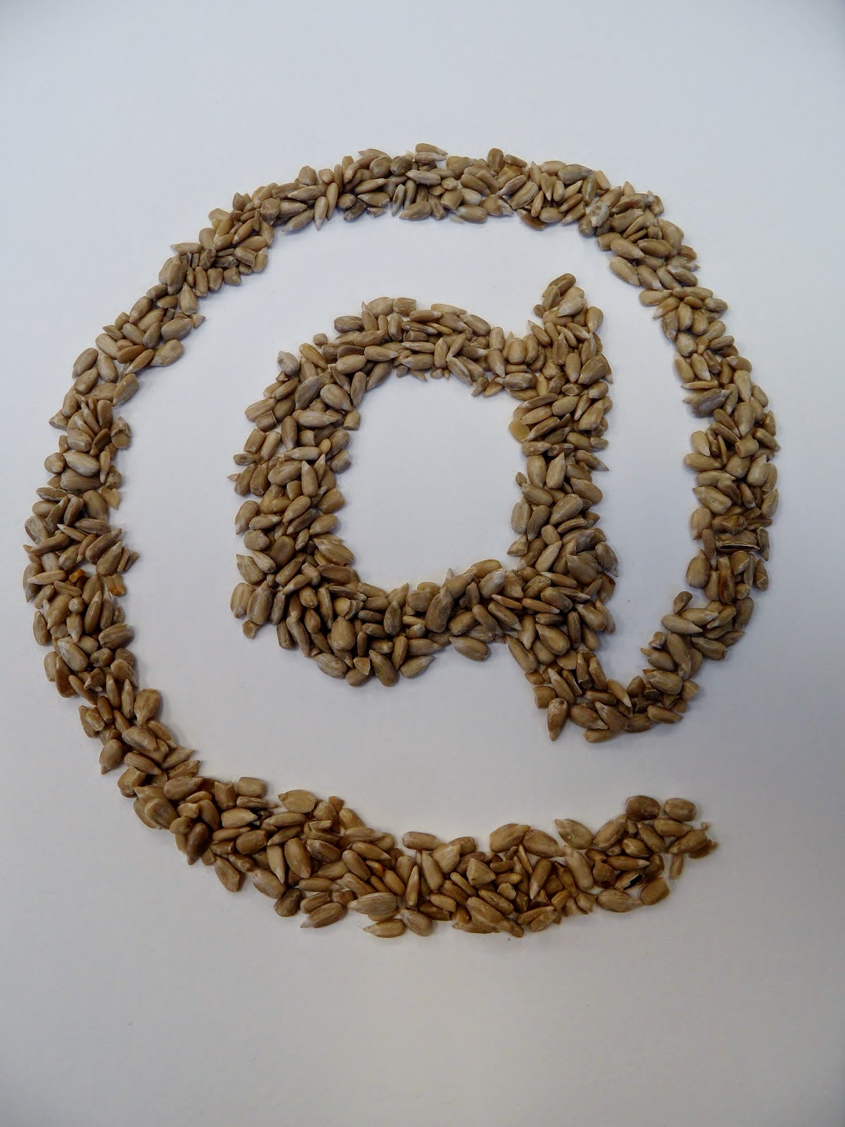 Daily Story Seeds