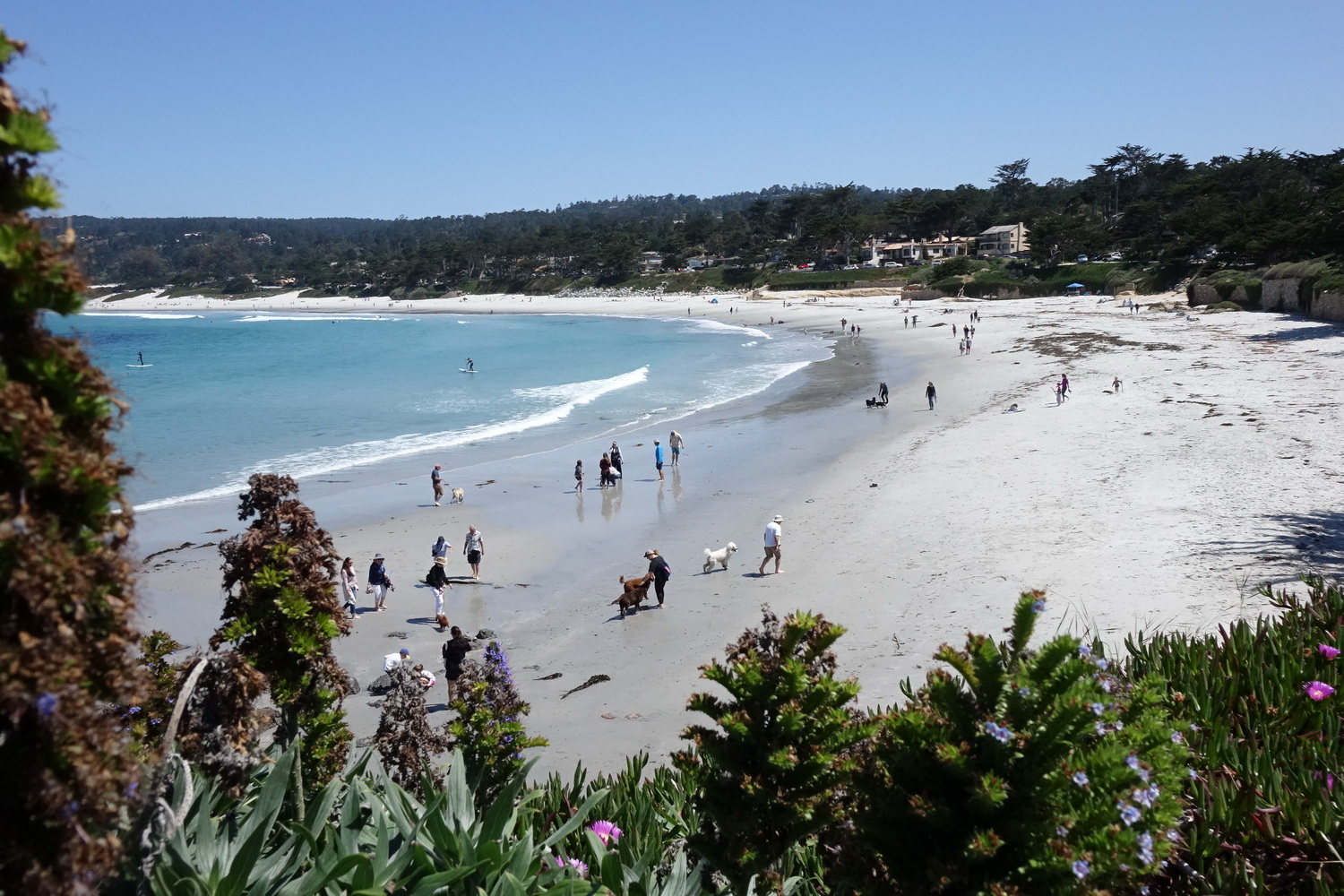 The Villages Hiking Club Carmel River State Beach