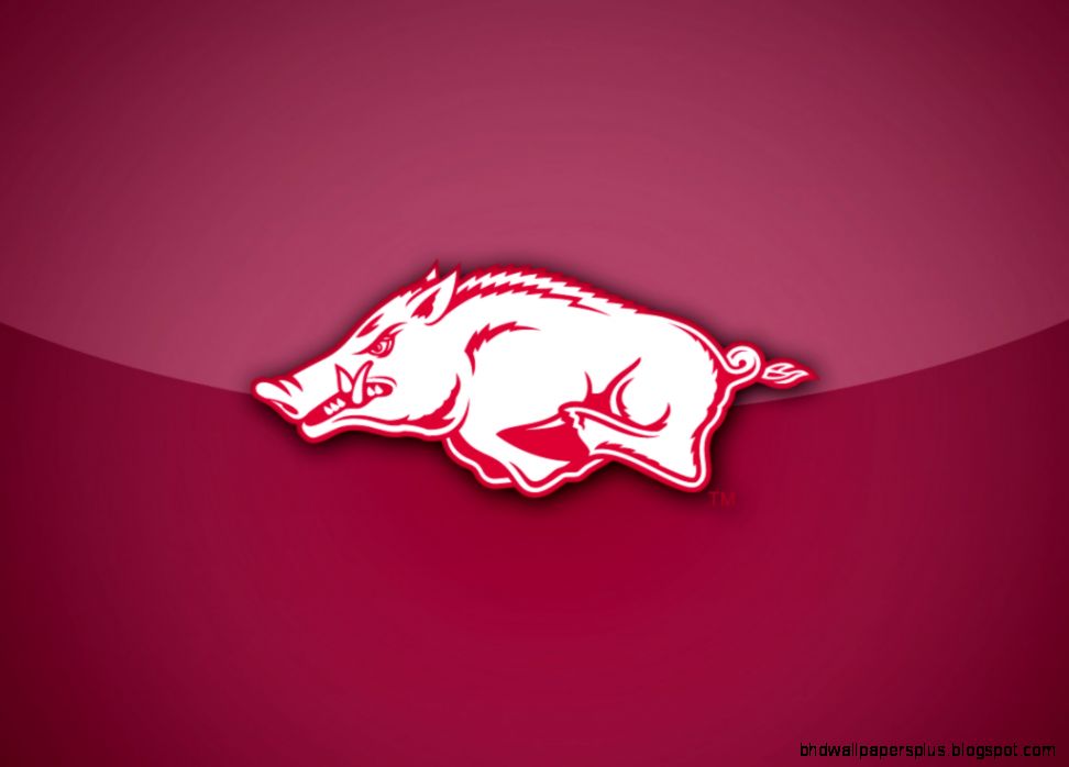 Image gallery for  arkansas razorbacks wallpaper