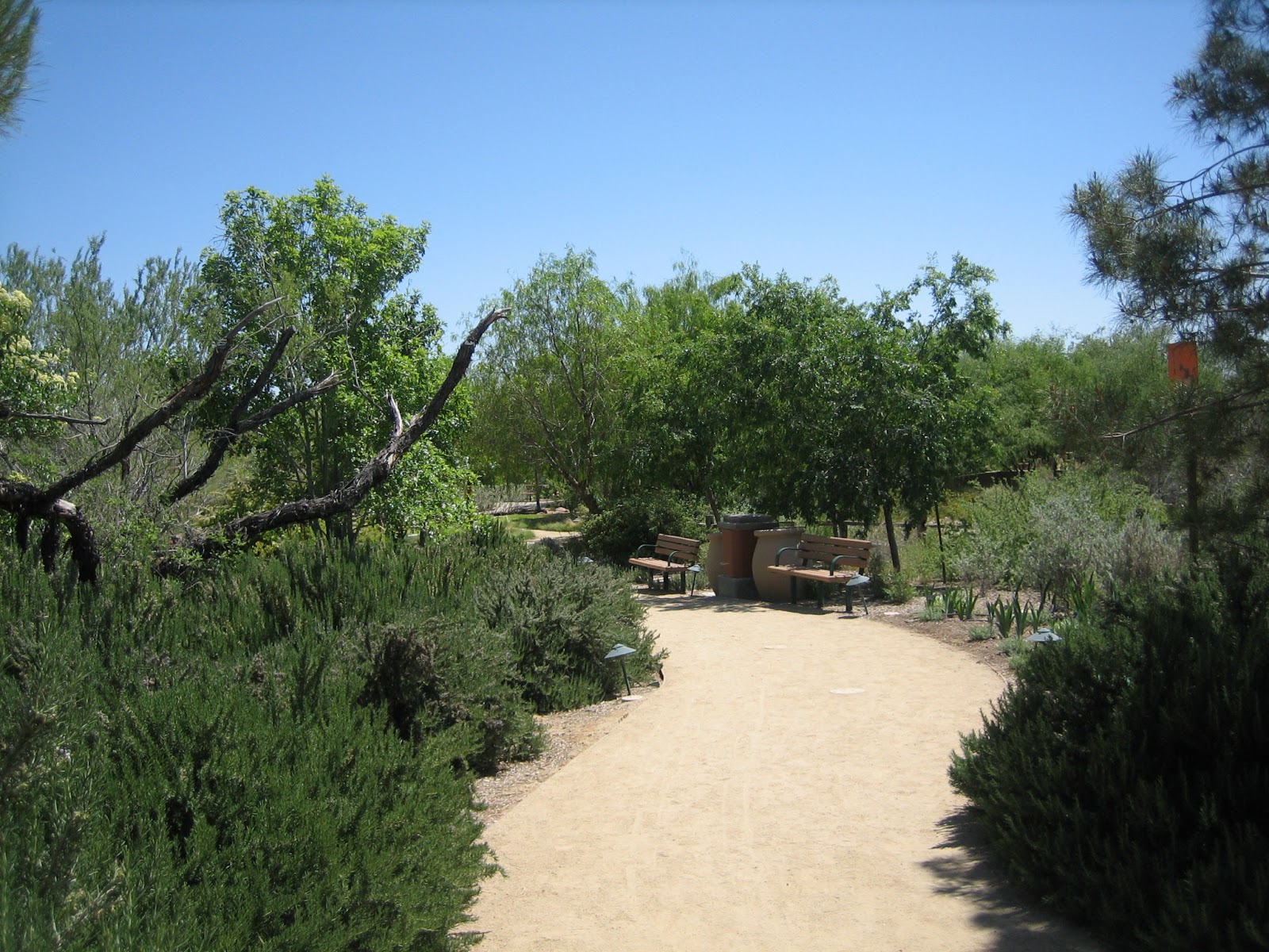 Cheryl's Travel Log Blog Springs PreserveApril 18 2013