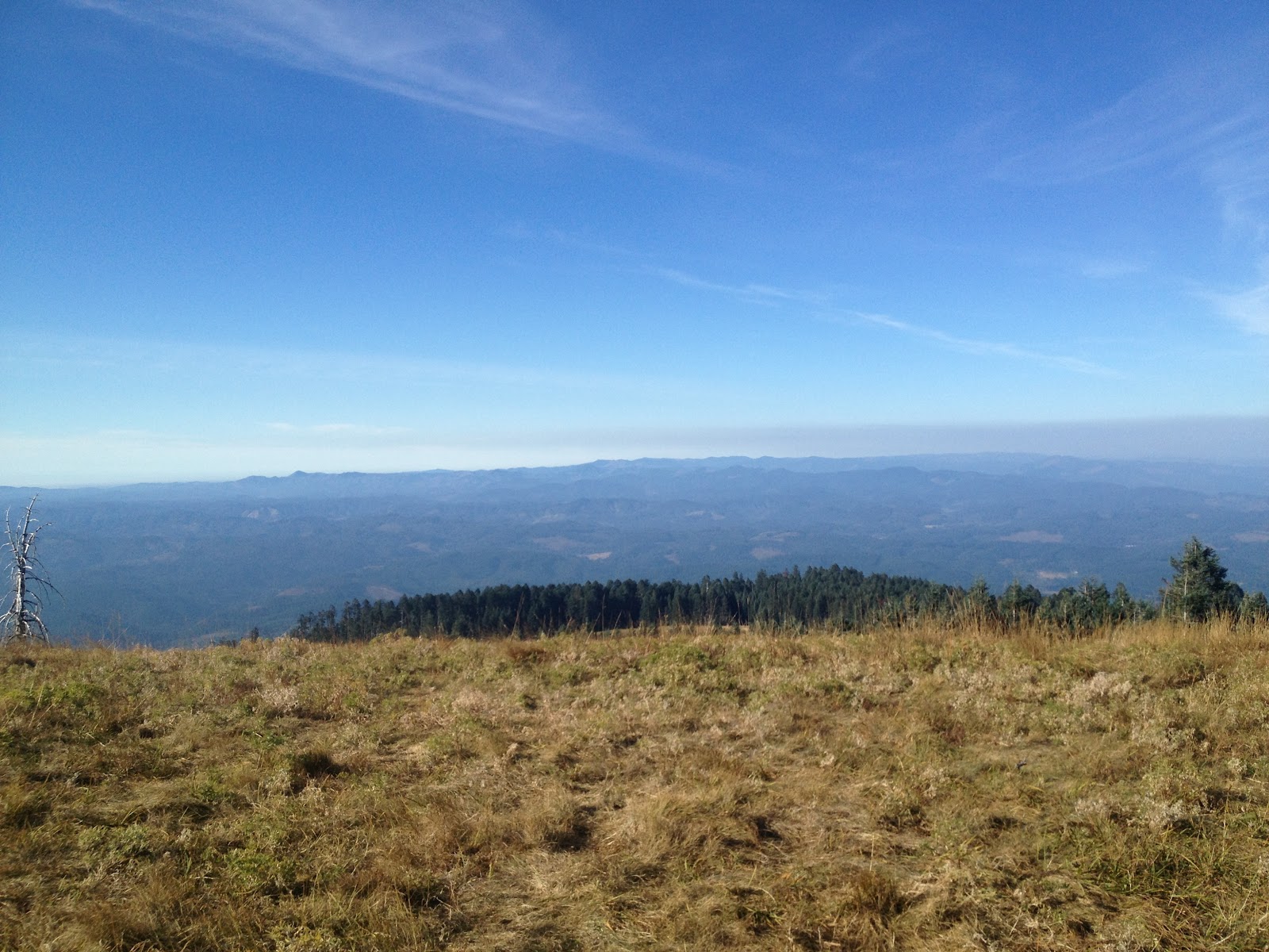 Marys Peak Oregon East Ridge Trail