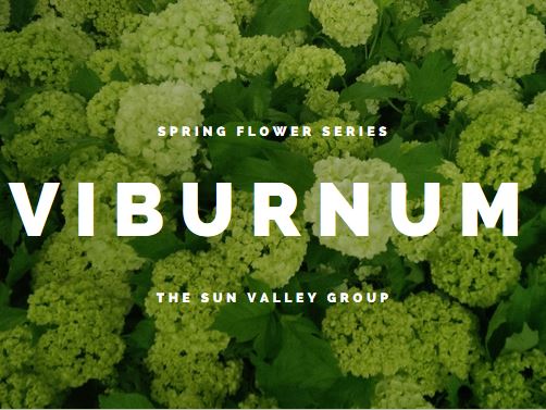 Garden Muses Not Another Toronto Gardening Blog 01 05 12 01 06 12