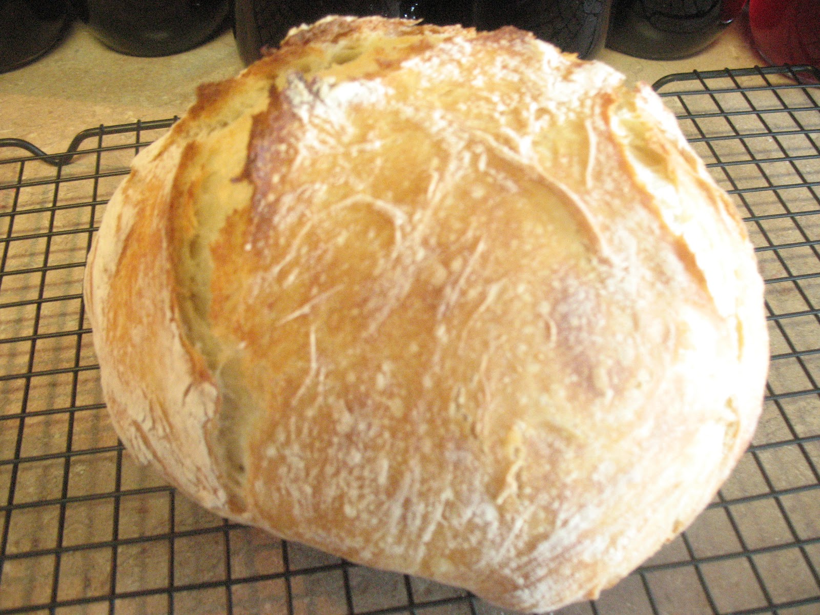 wholesome and homemade dutch oven artisan bread