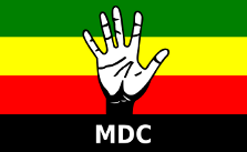 Movement for Democratic Change (Zimbabwe), ongoing