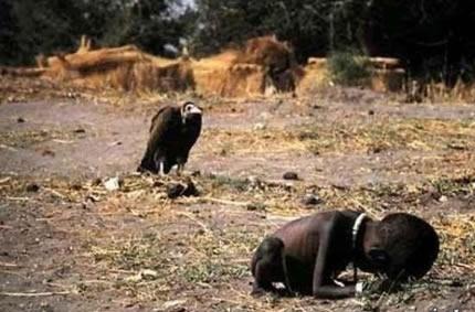نقره لعرض الصورة في صفحة مستقلة