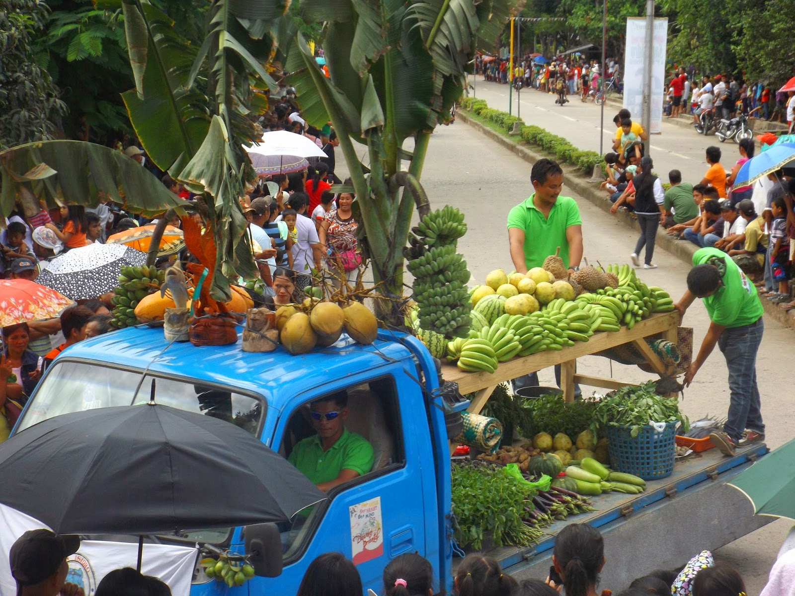Bonsai Makisig San Isidro, Davao Oriental, Bonsai Festival 2014, Mt