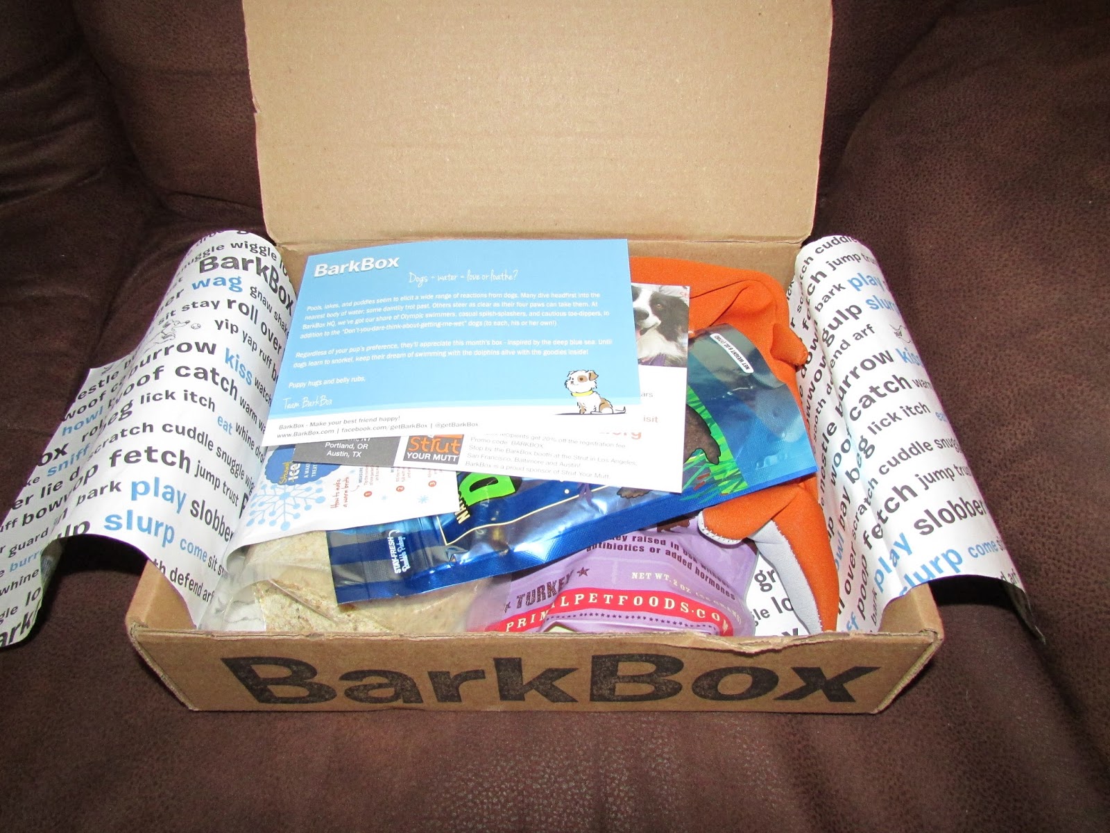 My Rotten Dogs: August 2013 BarkBox Review
