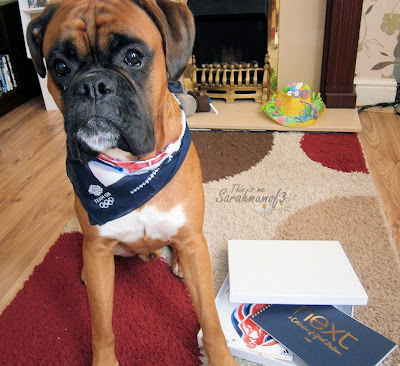 boxer dog wearing bandana supporting olympics london 2012 team gb red white and blue cute dog clothes