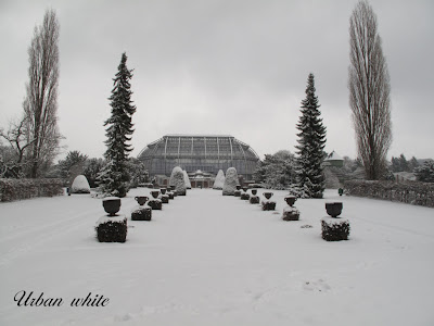 Urban white | Wohnen in Weiß : Gartenträume