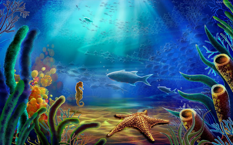Vista bajo el agua en 3D - Under water 3D view - Fondo marino