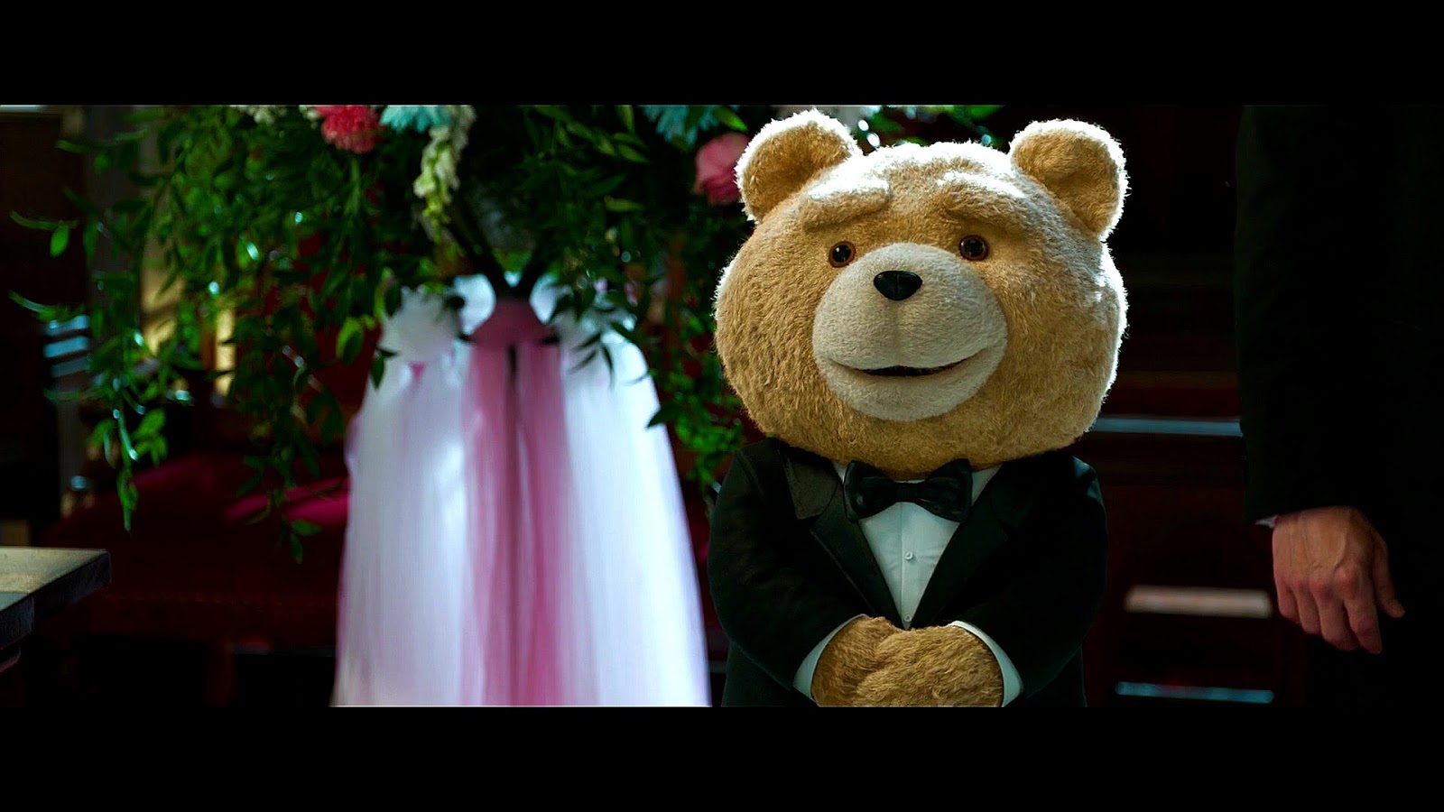 Ted 1 Pelicula Completa En Español Gratis FullMove2.0 : Ted 2 La Pelicula Completa (1080p)(Mega)(1 link)(Full