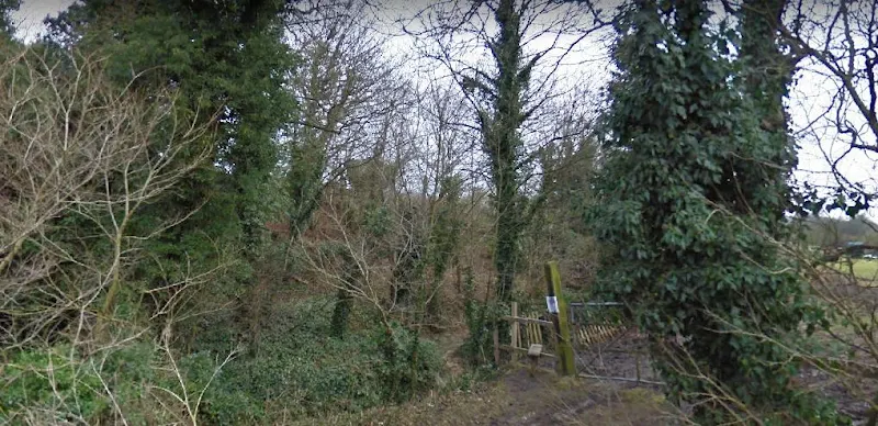 The site of the adventure playground 