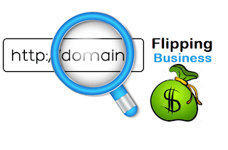 domain flipping business