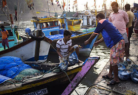 fish, boat, fishermen, trade, deal, edge, sassoon docks, arabian sea, mumbai, india, 