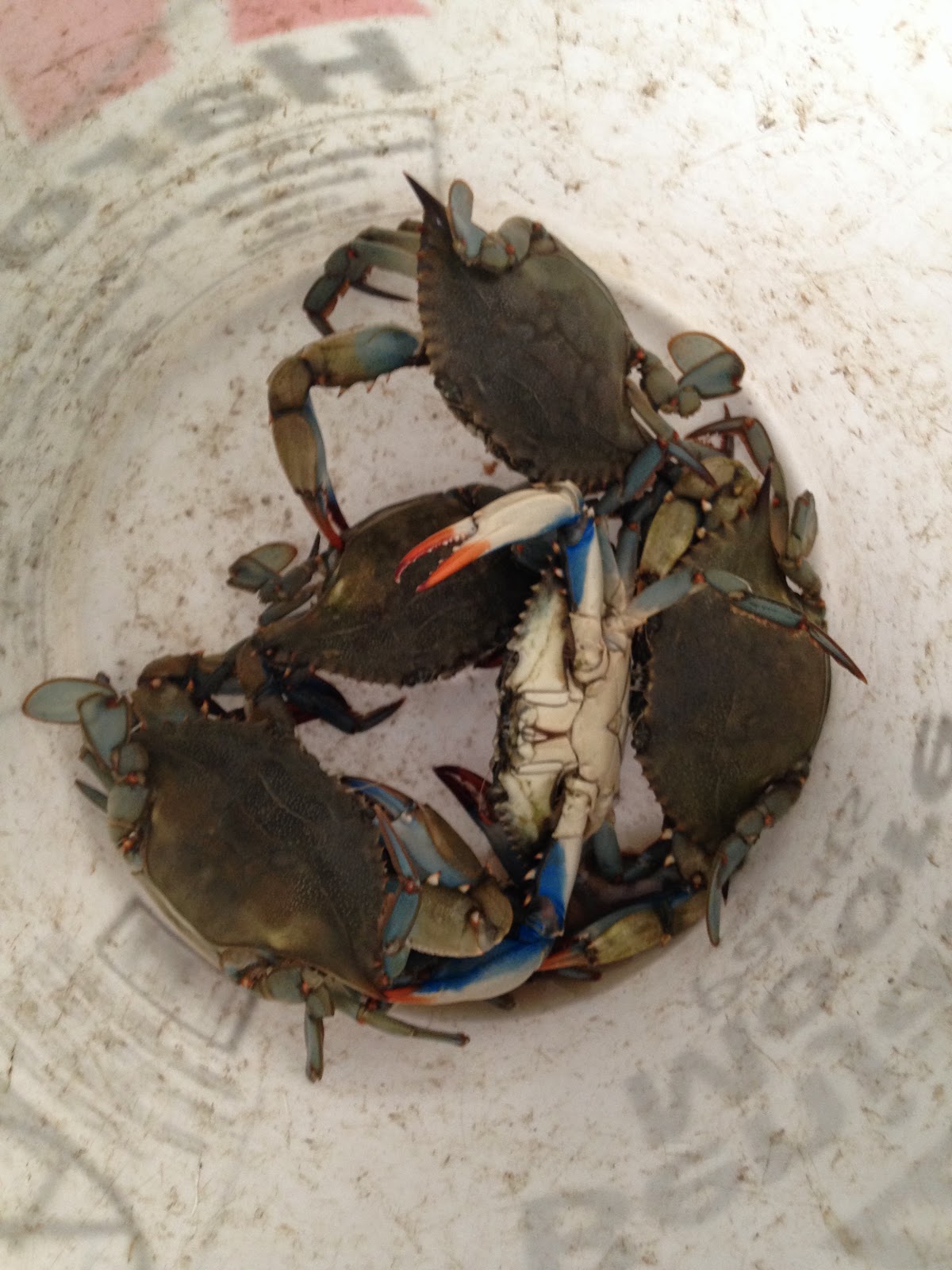 Southern Dumplings Trawler Crab Dip