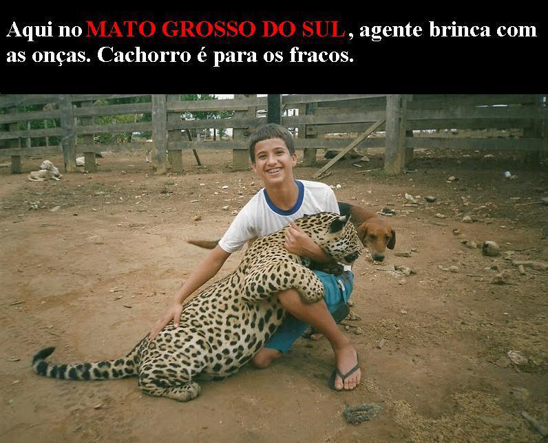 DÉCIO GÓES No Mato Grosso é assim... DÉCIO GÓES No Mato Grosso é assim...
