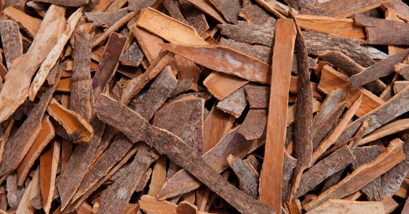 दालचीनी के औषधीय गुण एवं फायदे - Benefits of Cinnamon in hindi -  नन्हीसियोना - हिन्दी ब्लॉग