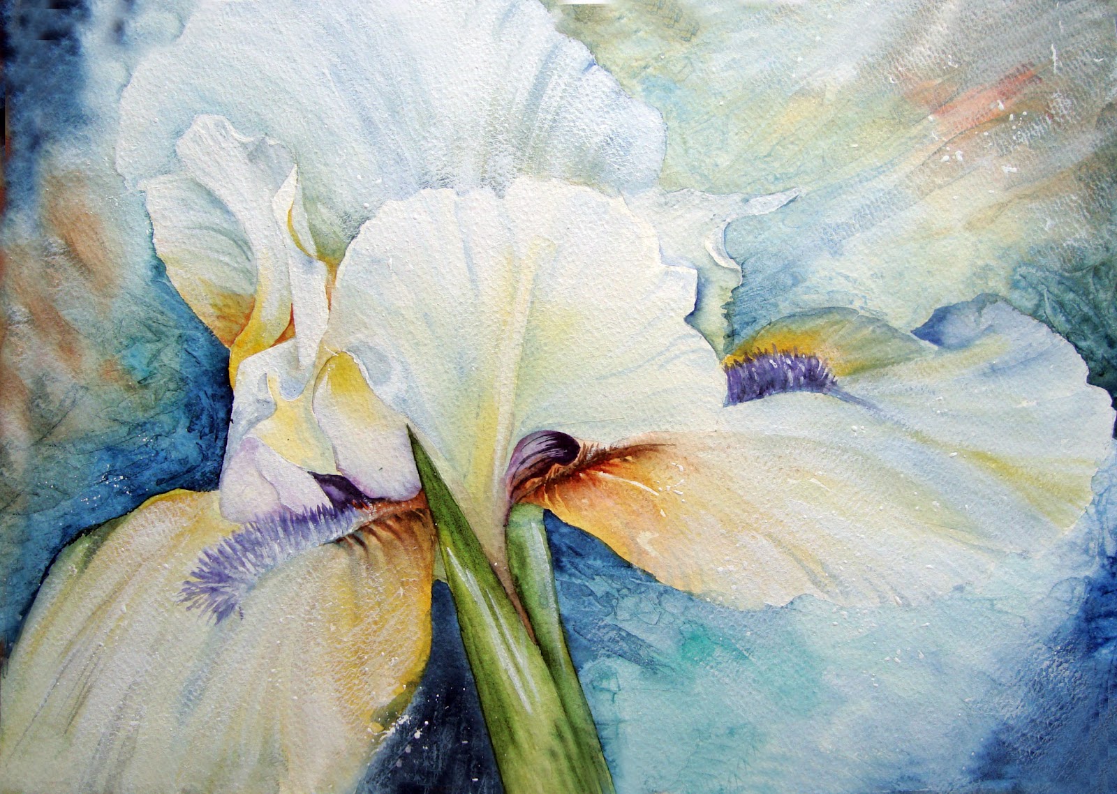 Watercolour Florals: White Iris