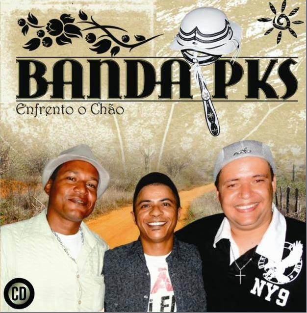 Baixar CDs dos ForrozeirosPE.com.br: Forró Universitário da PKS – CD ...