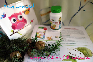 GRAVIOLA , FRUCTUL CARE TE FACE PUTERNIC