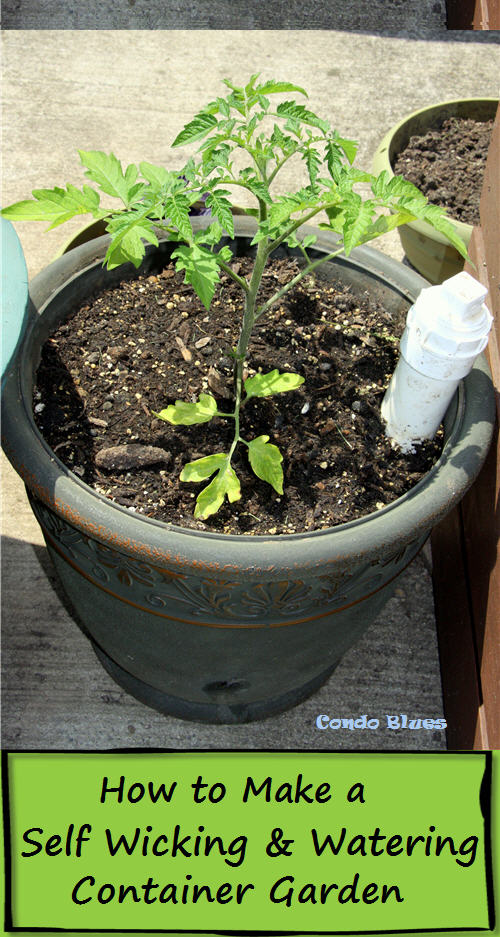 How to COMPOST in a FLOWERPOT 