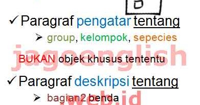 Contoh Report Text Dan Soal Pilihan Ganda Contoh Soal Terbaru