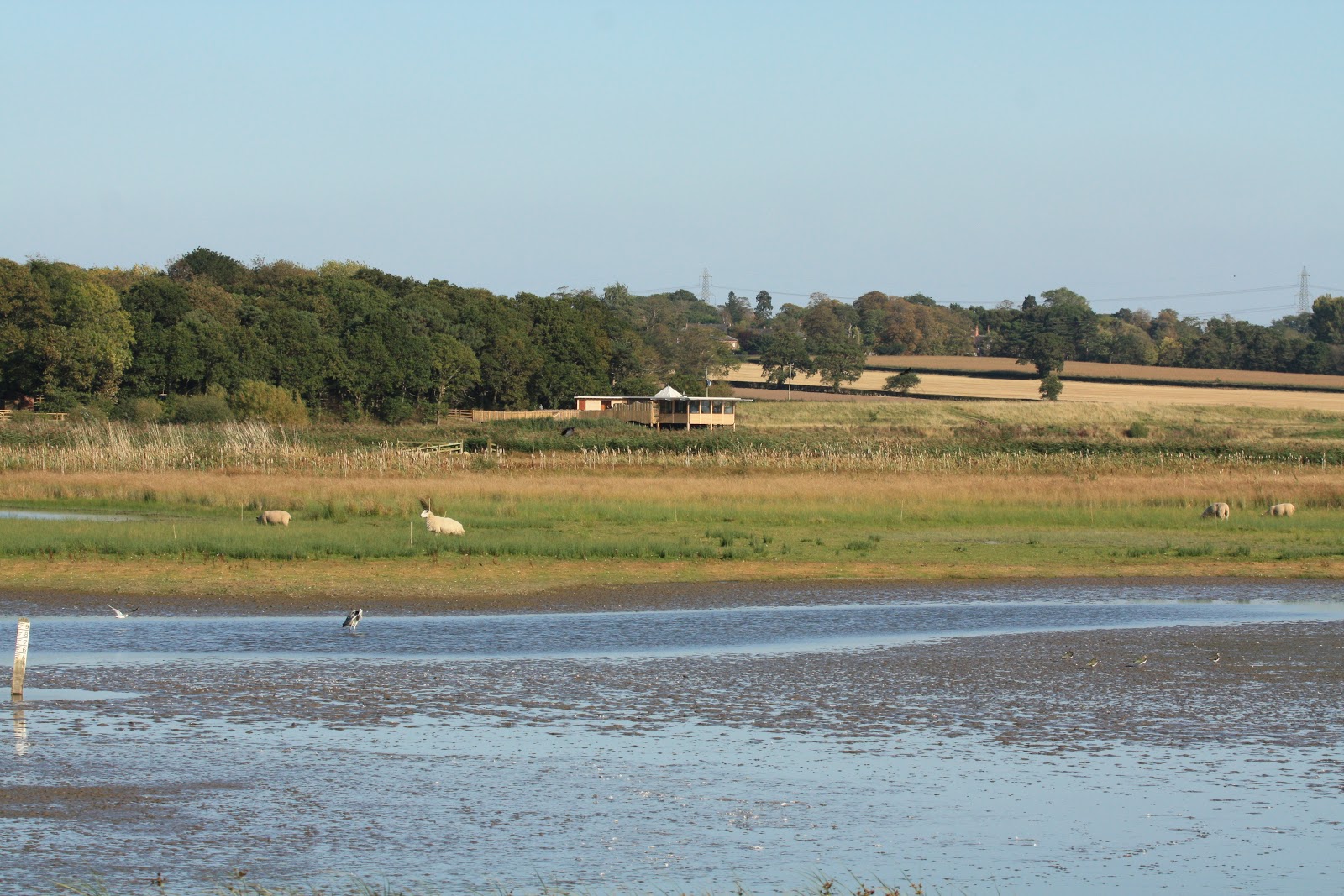 Dee Estuary